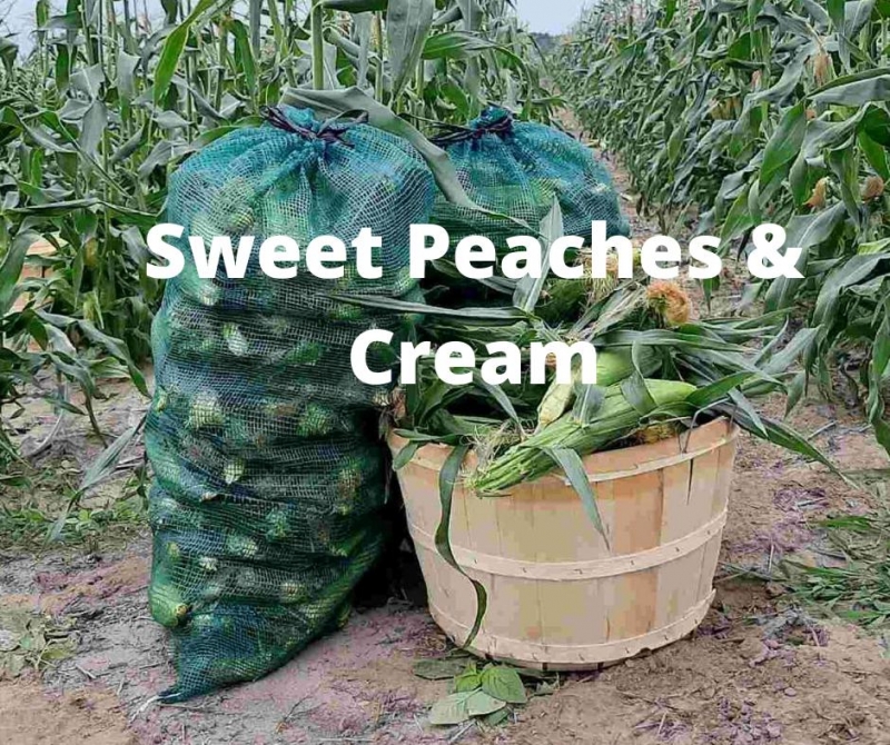 65 count bag of corn - Sweet Peaches & Cream image